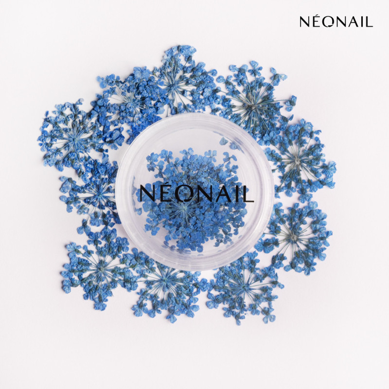 Decorazione Floreale per Unghie 04 Navy